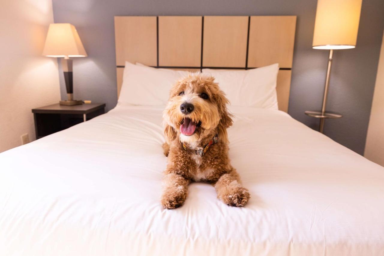 Hotel Sonesta Simply Pittsburgh Airport